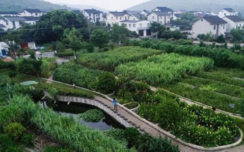 常見污水治理方法有哪些？